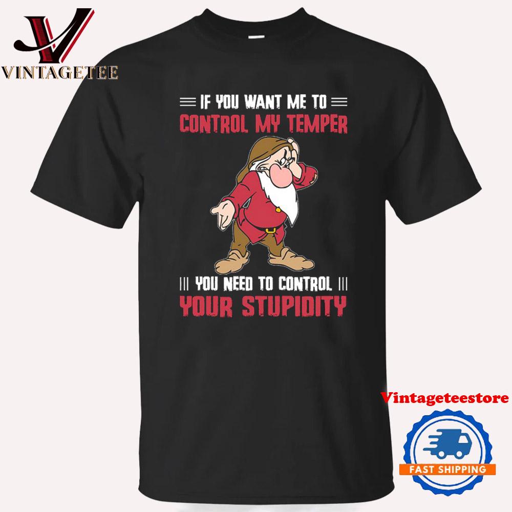 You Need To Control Your Stupidity Grumpy Vintage T Shirt